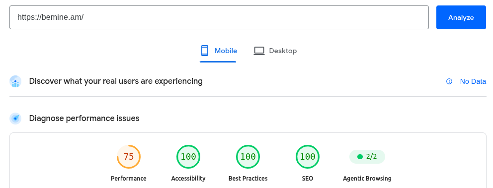 Mobile PageSpeed Audit